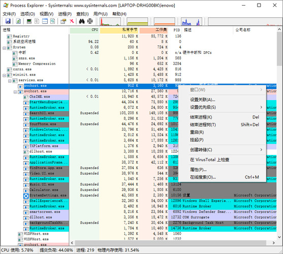 Process Explorer v17.09汉化版