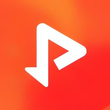 VidTube 解锁限制版无限制下载网页视频